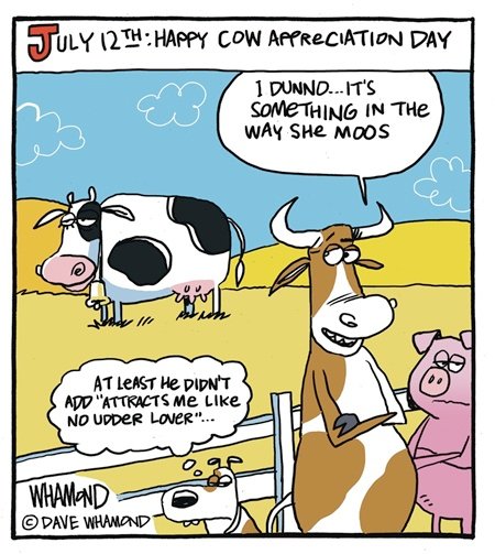 !    moo ♫.jpg