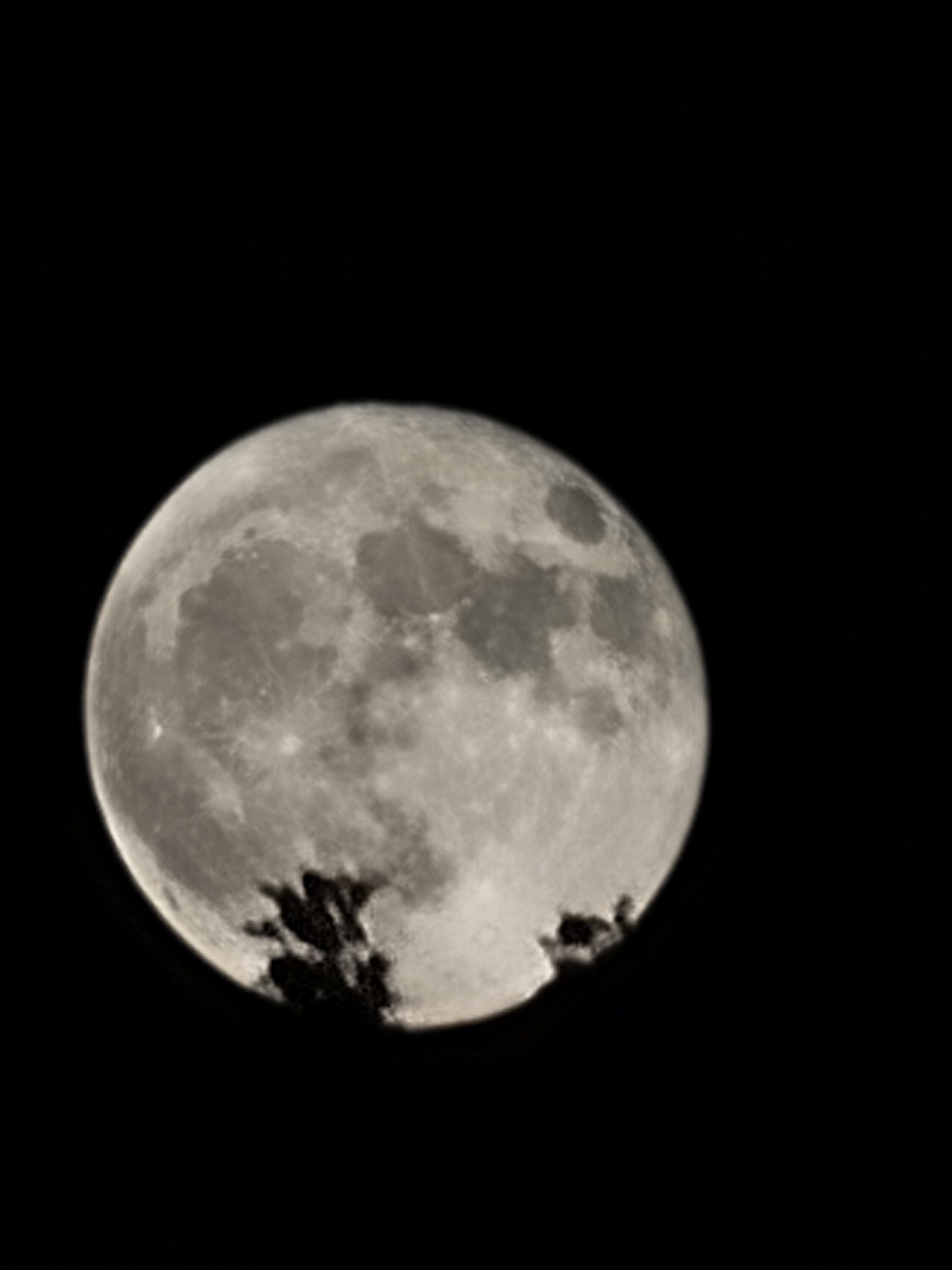 Moon.jpg