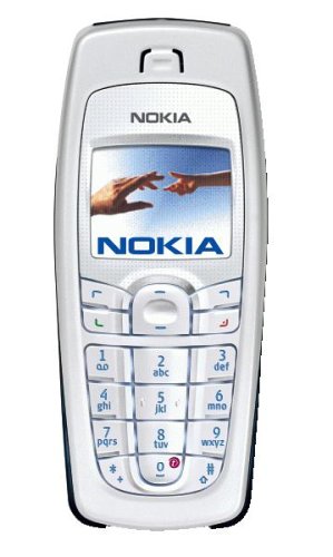 Nokia6010.jpg