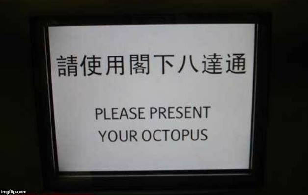 octopus.jpg