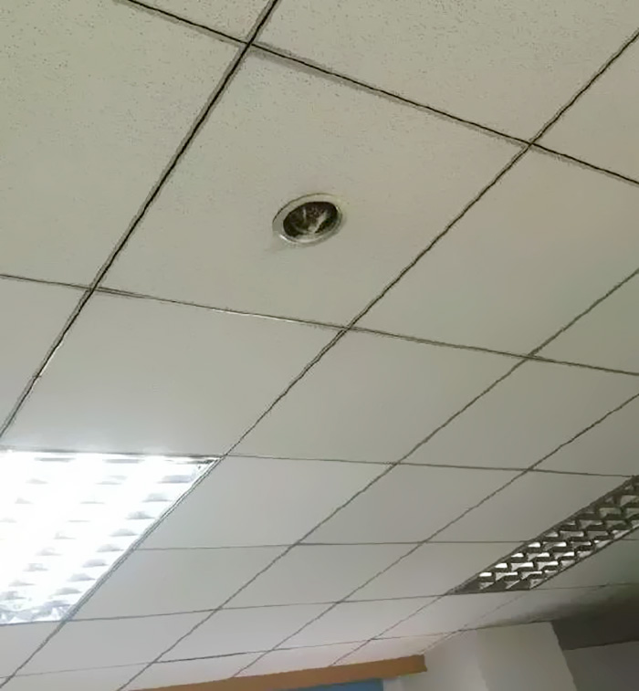 office-ceiling-cat-monitoring-omocha-no-uma-1.jpg