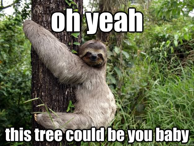 Oh-Yeah-This-Tree-Could-Be-You-Baby-Funny-Meme-Image.jpg