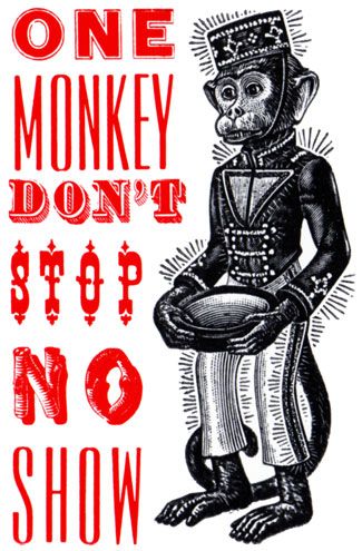 one Monkey don't stop.jpg