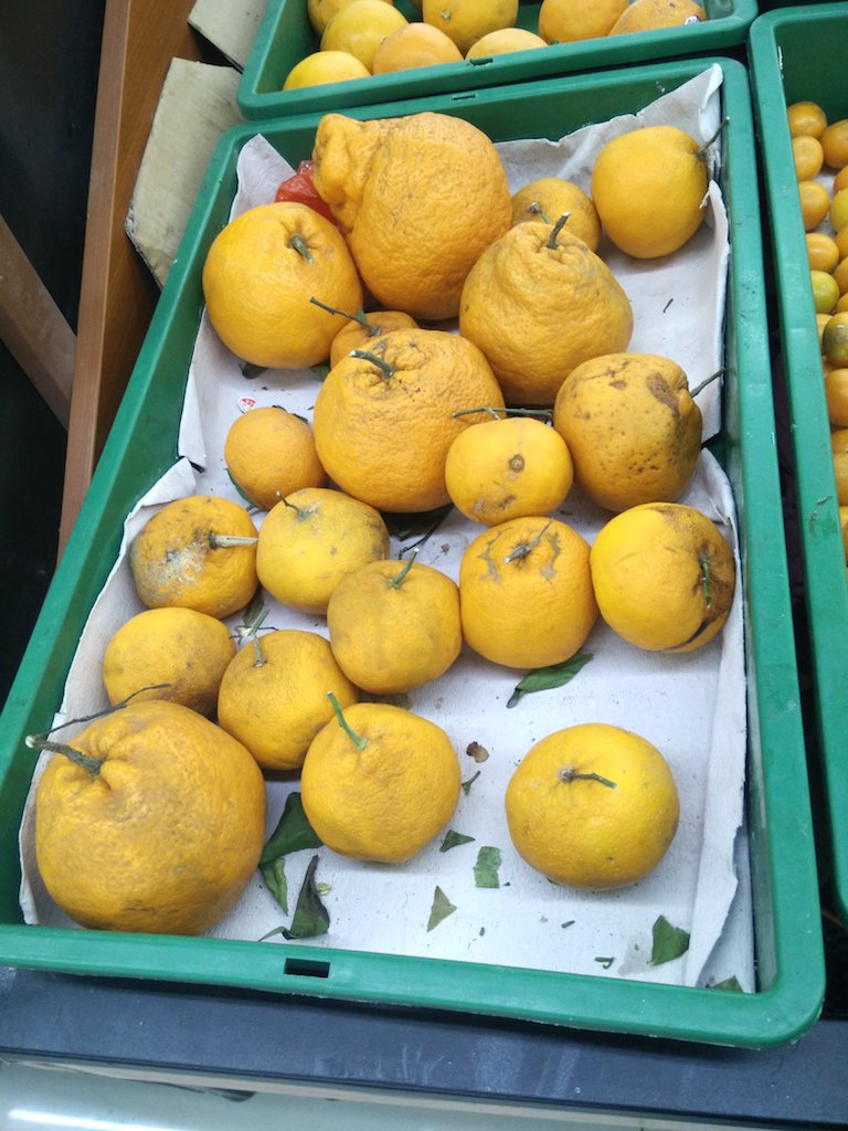 oranges.jpg