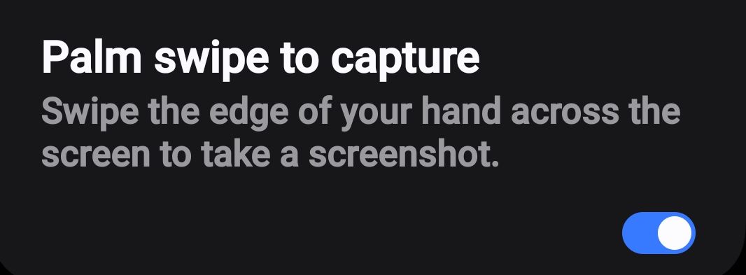 palm.jpg