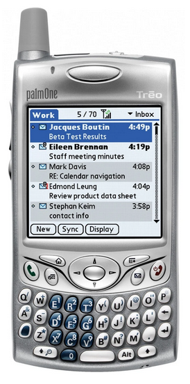 palm650.png