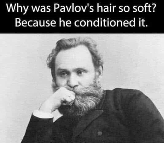 pavlovhair.jpg