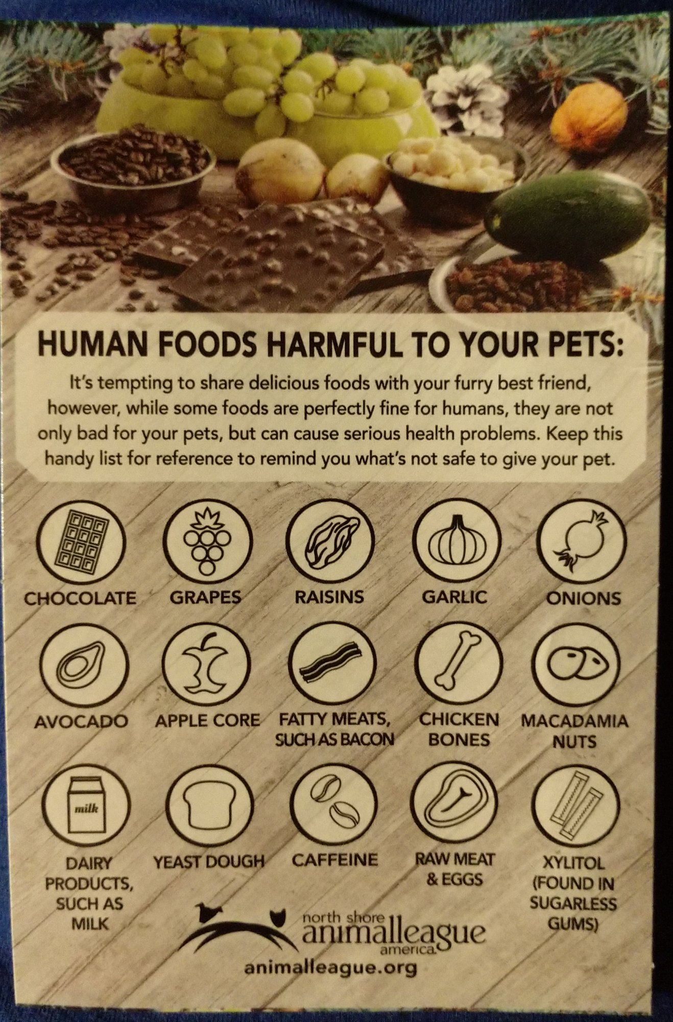 pets_harmful_food_022820.jpg