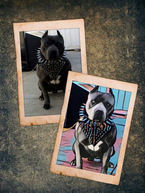 PicsArt_01-21-08.50.15.jpg