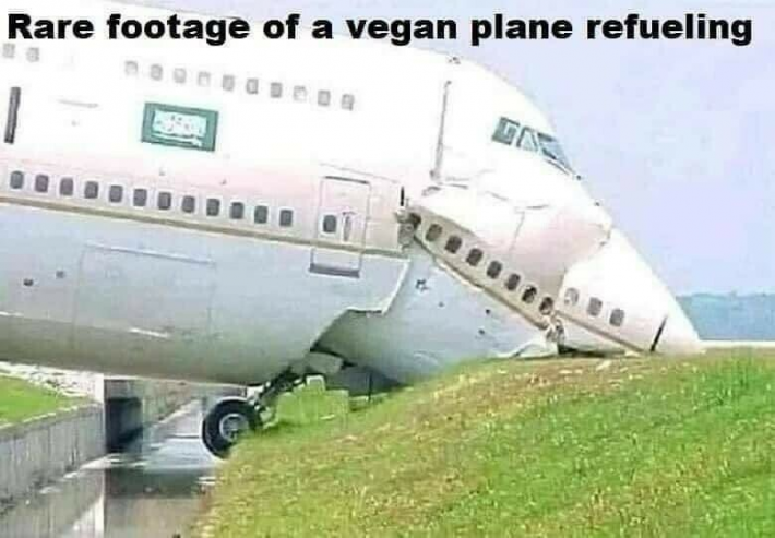 planevegan.png