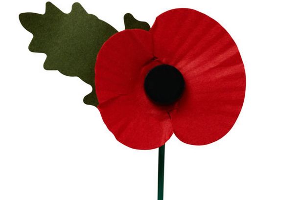 poppy.jpg