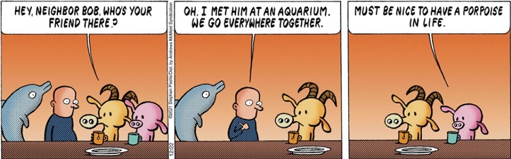 - porpoise.jpg