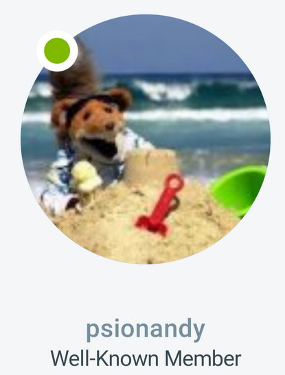 psonandy.jpg