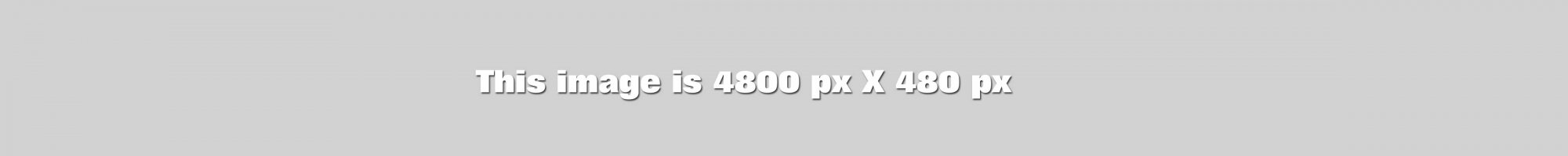 px4800.jpg