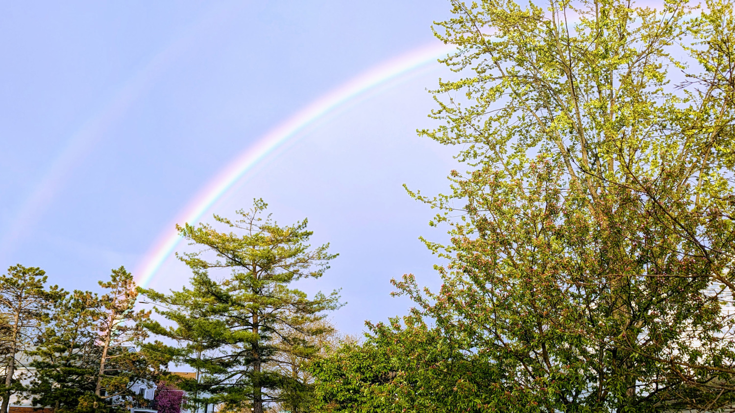 rainbow.jpg