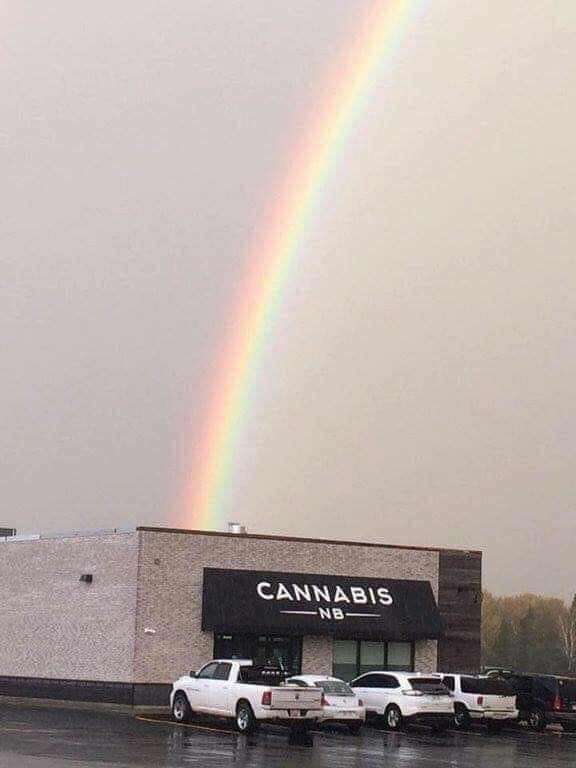 rainbowpot.jpg