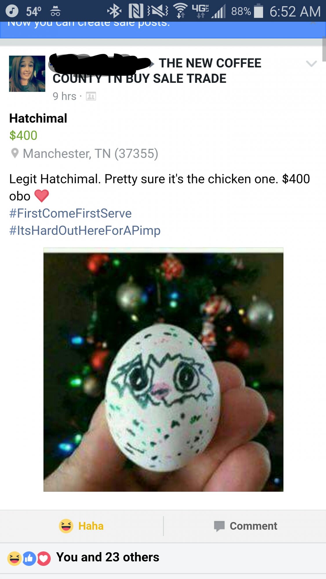 Real_Hatchimal.jpg