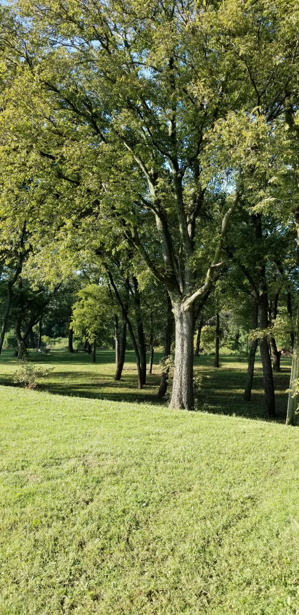 River.jpg