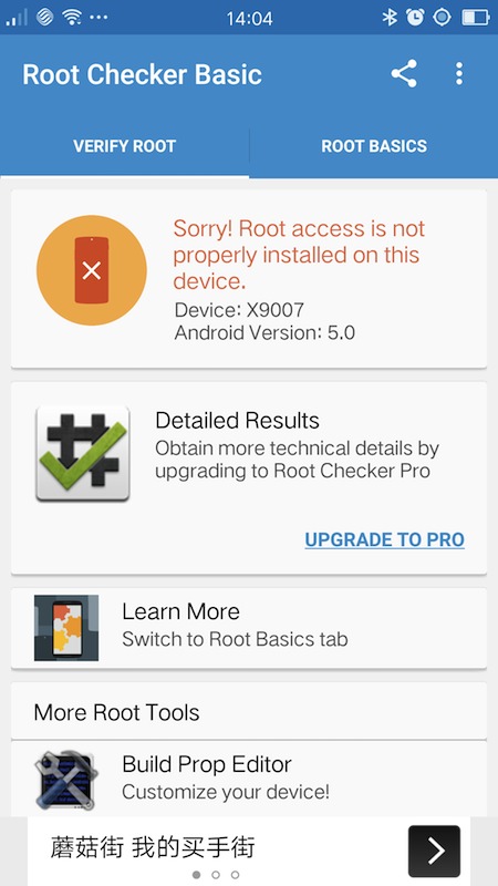 root.jpg