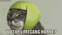 rtfkt-clonex.gif
