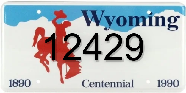 Screenshot 2024-02-29 at 21-15-07 License Plate Number 12429 information dcontrol.com.png