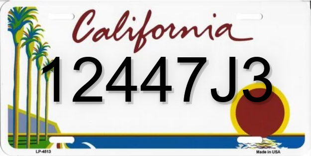 Screenshot 2024-03-01 at 13-40-55 License Plate Number 12447J3 information dcontrol.com.png