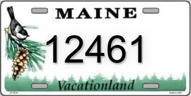 Screenshot 2024-03-01 at 23-01-25 License Plate Number 12461 information dcontrol.com.png