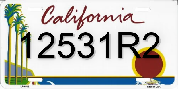 Screenshot 2024-03-03 at 23-17-22 License Plate Number 12531R2 information dcontrol.com.png