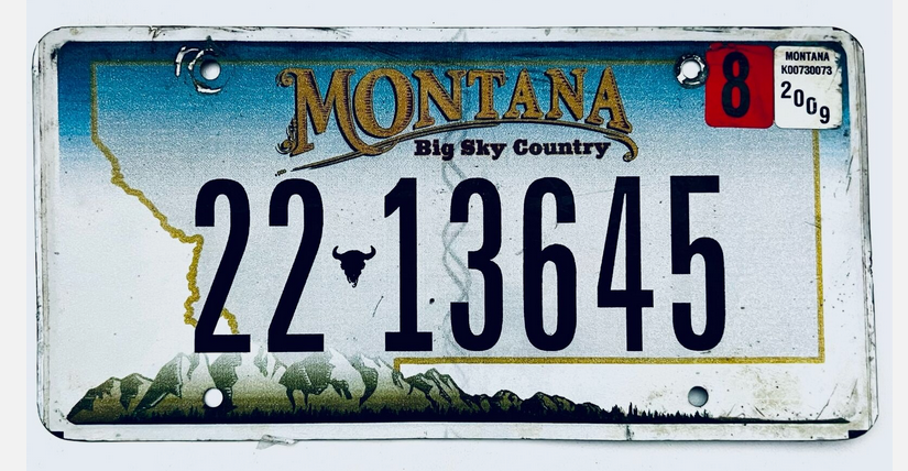 Screenshot 2024-05-04 at 20-33-10 2009 United States Montana Big Horn County Passenger License...png