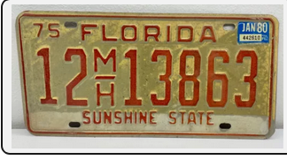 Screenshot 2024-05-19 at 23-48-52 VTG 1975 Florida Sunshine State License Plate “12 M_H 13863”...png