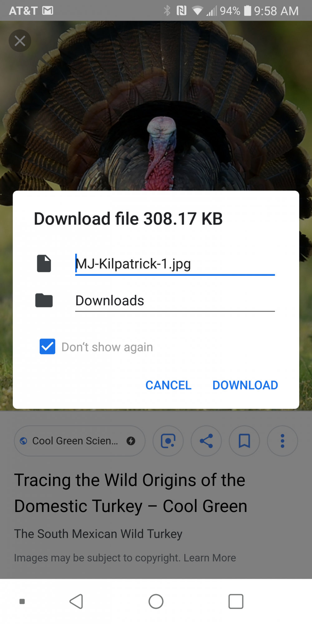 Screenshot_2018-11-20-09-58-26.png