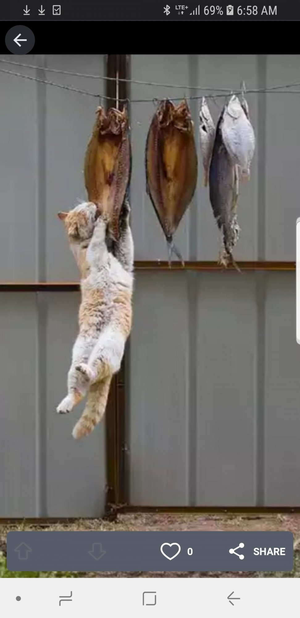 Screenshot_20190805-065805_Imgur.jpg
