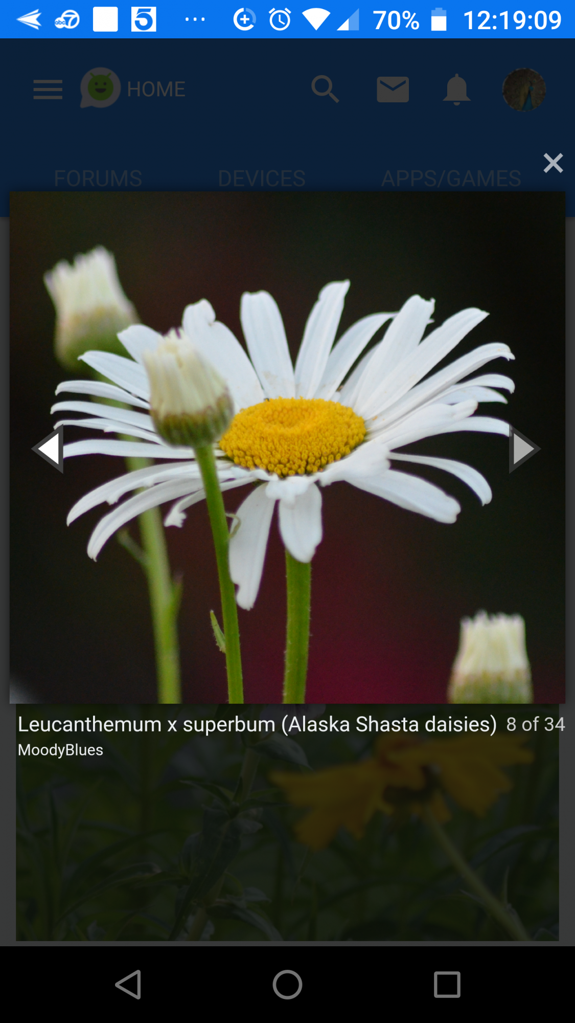 Screenshot_20200413-121911.png