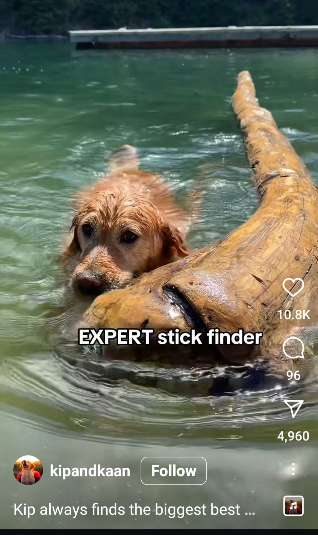 Screenshot_20250602_163439_Instagram.jpg