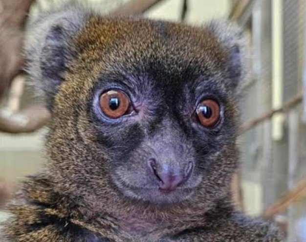 Screenshot_20251129_085946_One UI Home.jpg