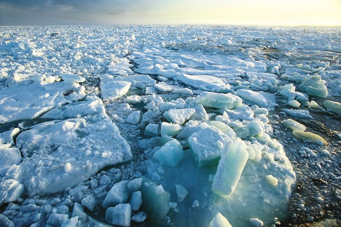 Sea_ice_node_full_image_2.jpg