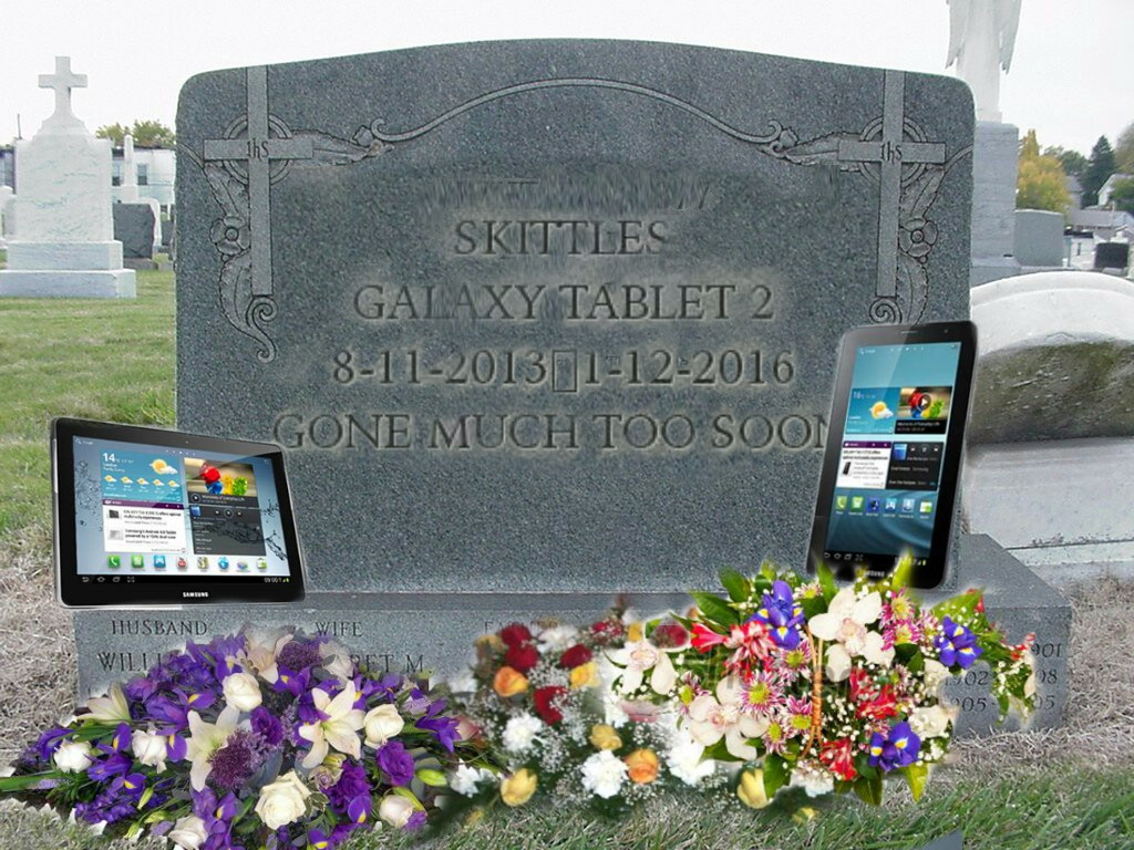 skittles1.jpg