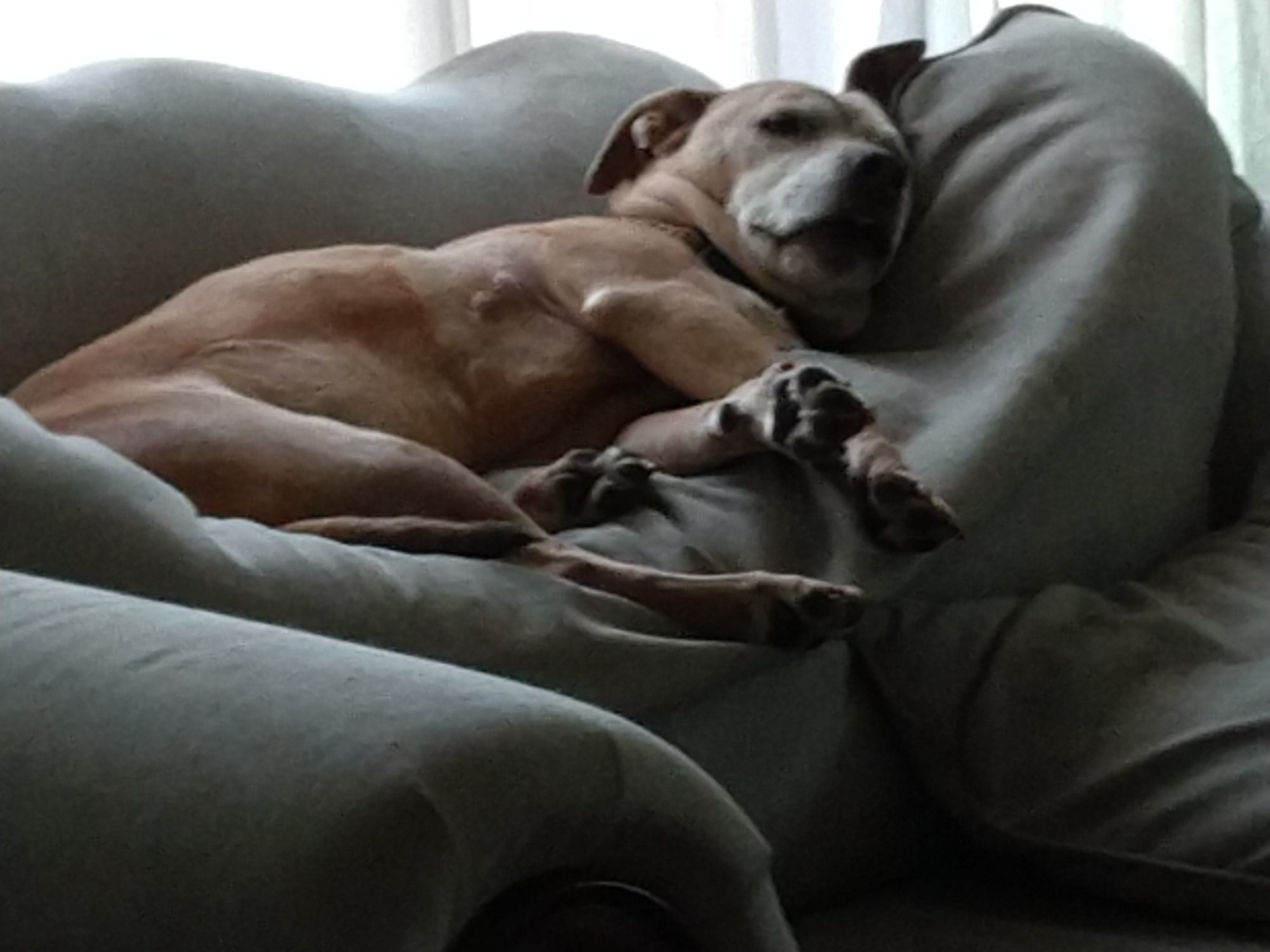 sleeping_042920.jpg