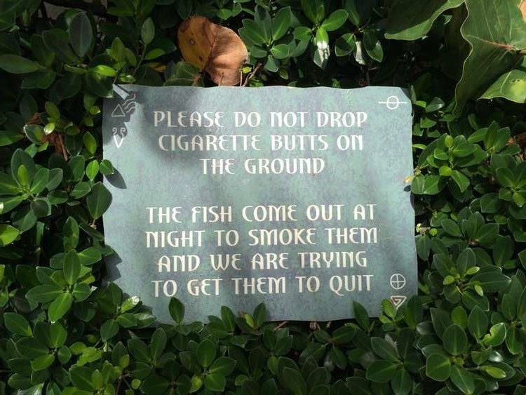 + smoked fish.jpg