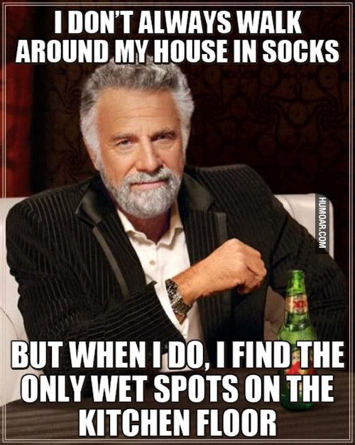 SOCKS.jpg