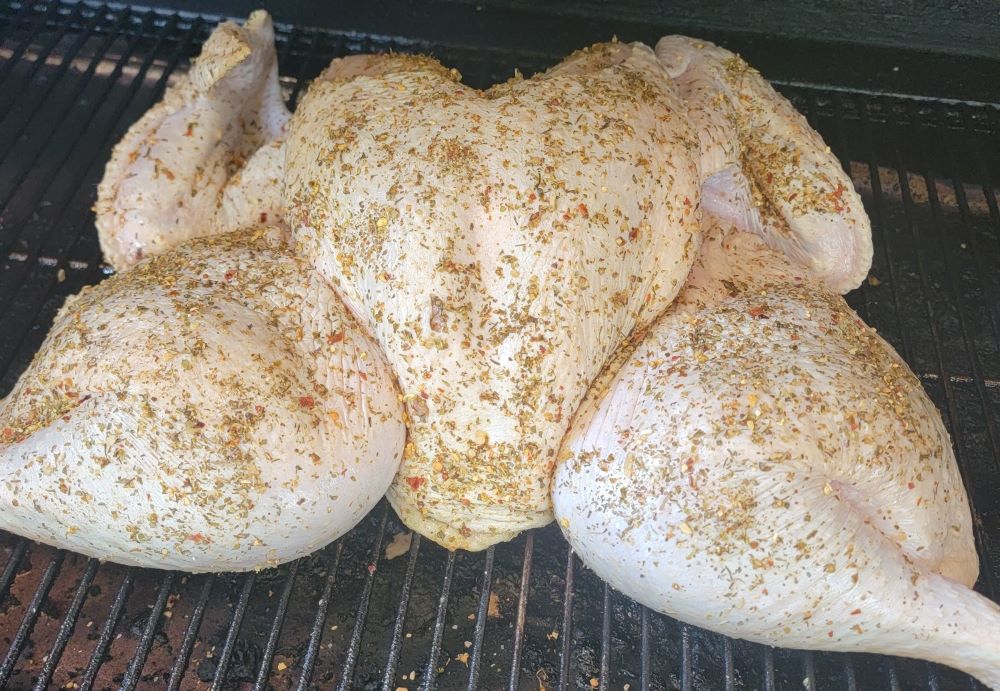 Spatchcock1.jpg