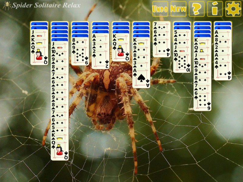 spider.png