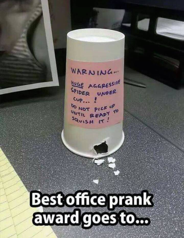 SpiderPrank.jpg