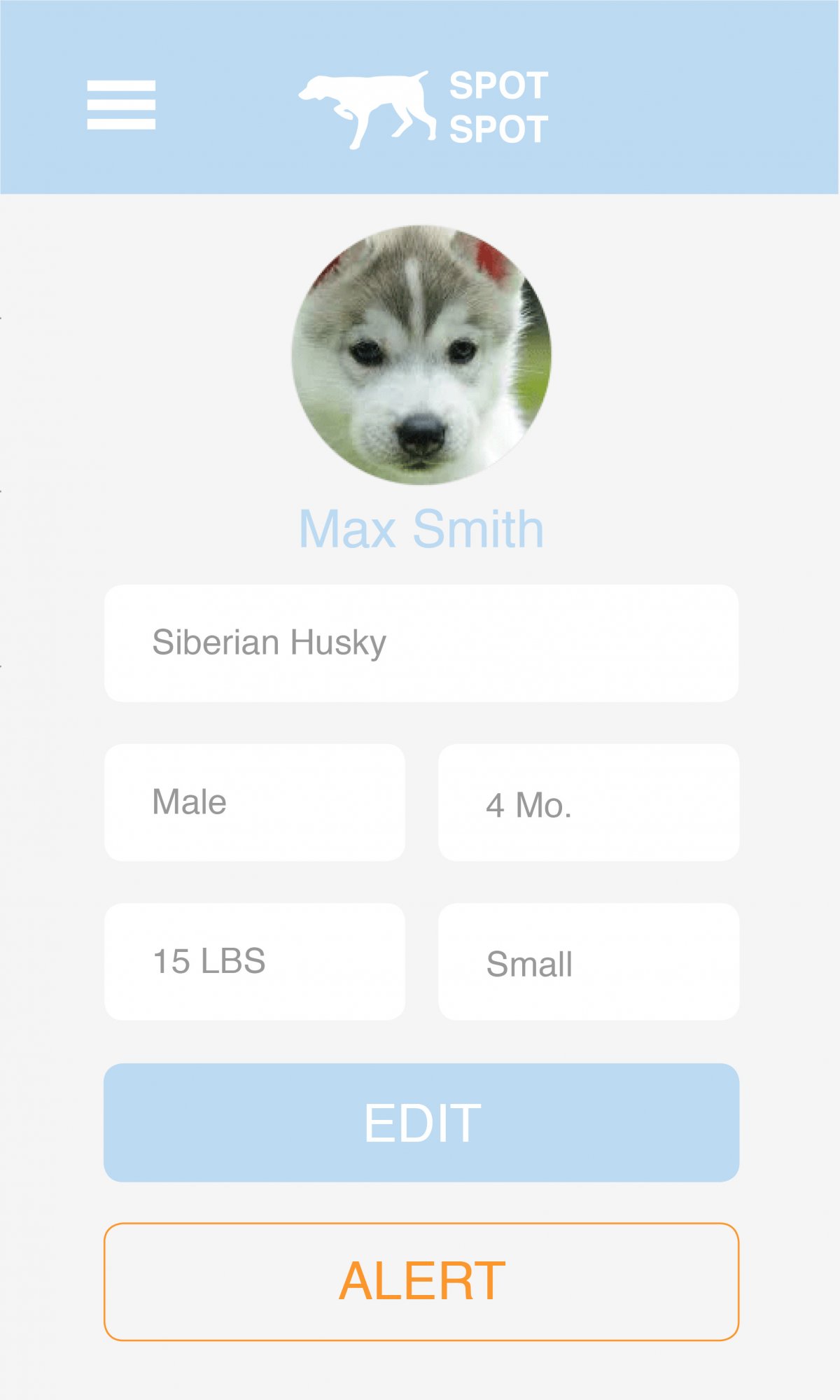 Spot Spot Screens2915.jpg