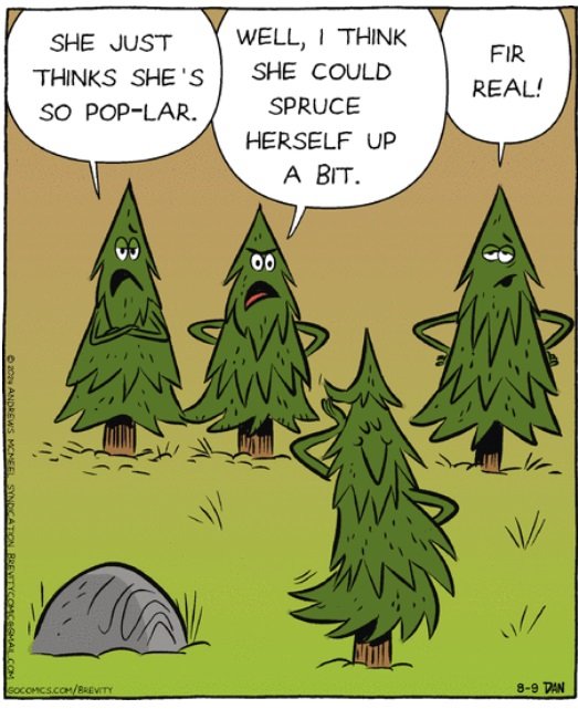 - spruce it up.jpg
