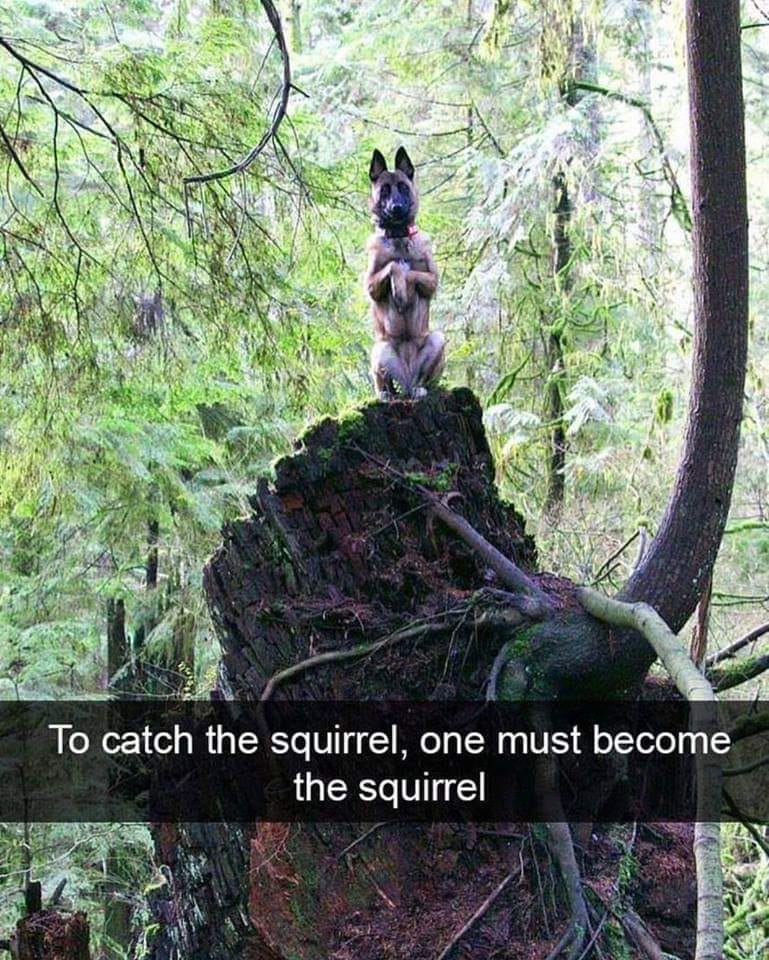 squirrelbthe.jpg