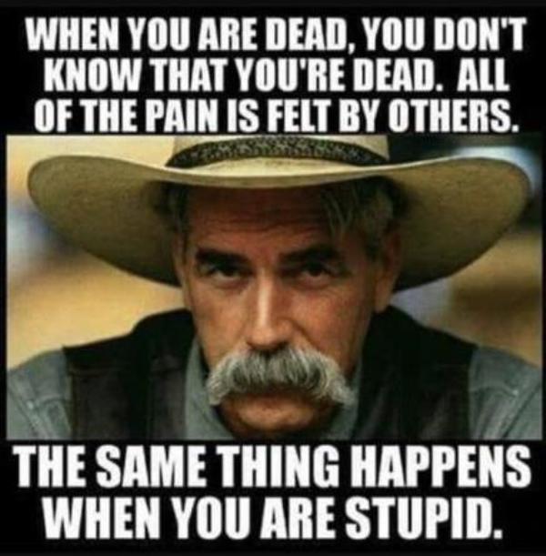 stupid.jpg