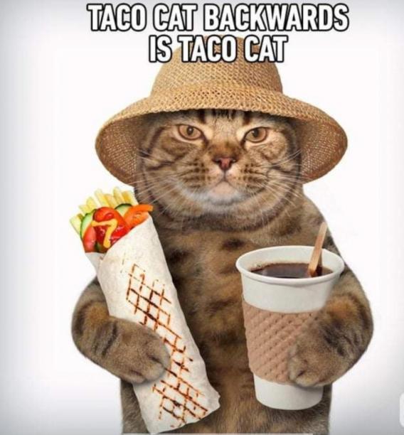 tacat.jpg