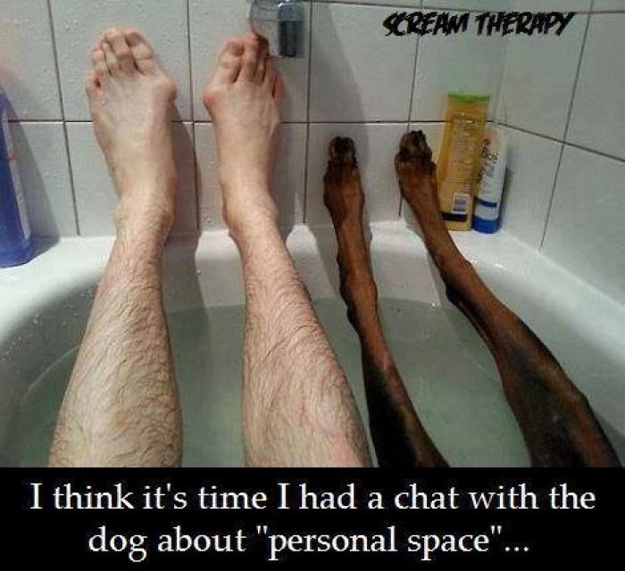 Think-its-time-to-chat-to-do-the-dog-about-personal-space.jpg