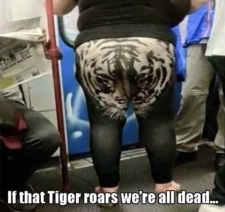 TigerRoar.jpg